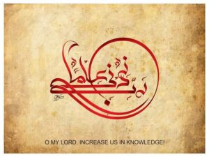 IMG_20190220_204824_852