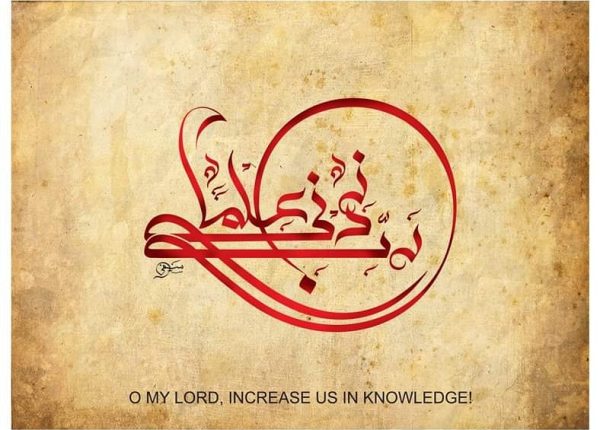 IMG_20190220_204824_852